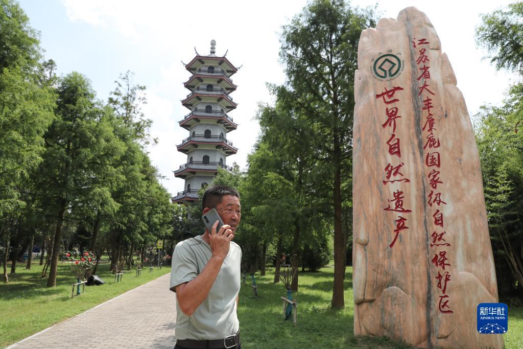 欢乐游戏手机版